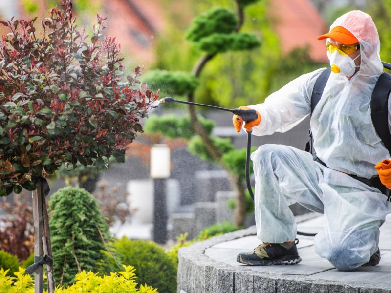 Dumlupınar Haşere İlaçlama